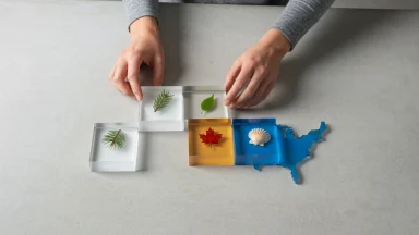 Unveiling America’s Seasons: Your Ultimate Travel Planner